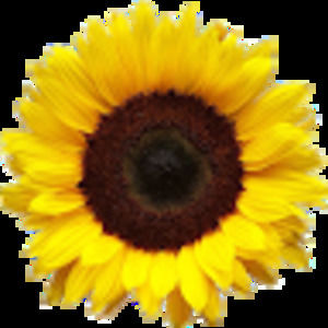 Meet your Posher, Madeline